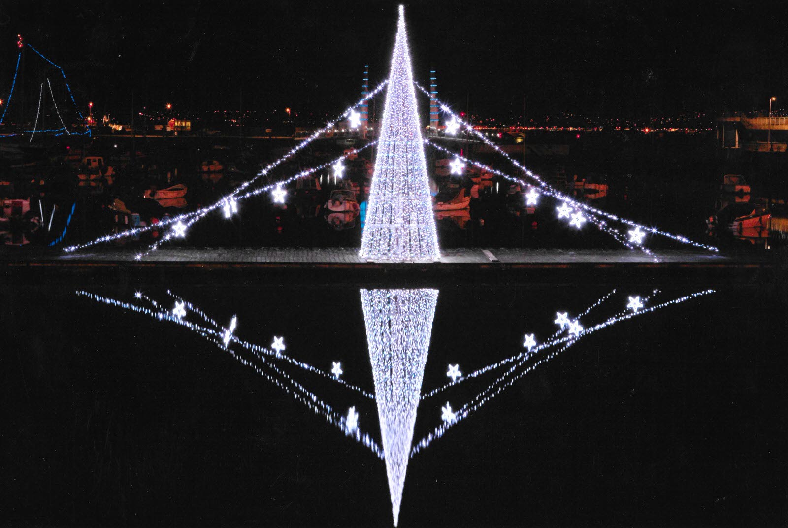 Christmas Display Torbay Display